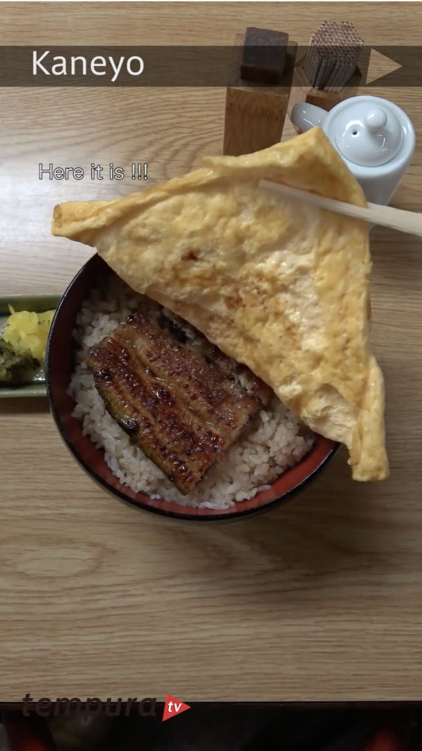 You gotta love it. Let’s try beautifully grilled EEL on bowl of rice.